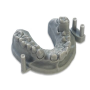 Alias Dental Model (Pro)