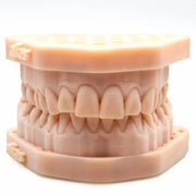 Alias Dental Model Precise