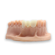 Alias Dental Temp C&B