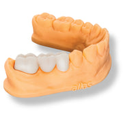 Alias Dental Temp MHF